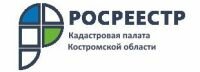 Итоги работы по наполнению ЕГРН необходимыми сведениями в 2021 году подвели эксперты Кадастровой палаты по Костромской области