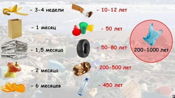 Сроки разложения мусора