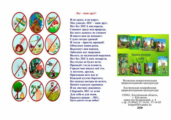 Правила поведения в лесу