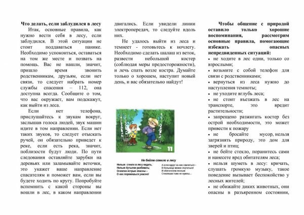 Правила поведения в лесу