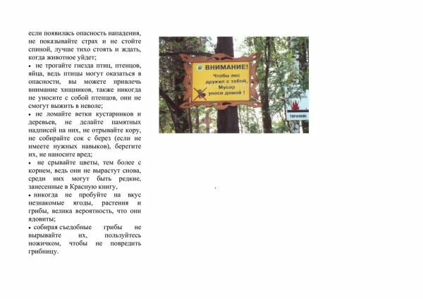 Правила поведения в лесу