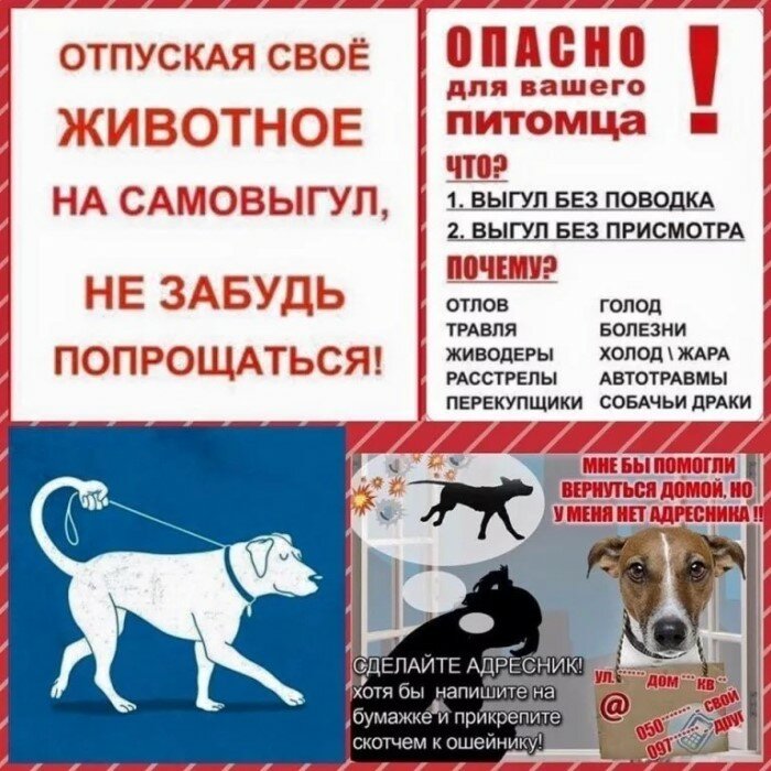 Объявление 