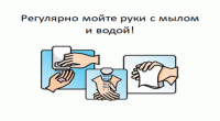 КАК ЗАЩИТИТЬСЯ ОТ ГРИППА и других острых респираторных инфекций?