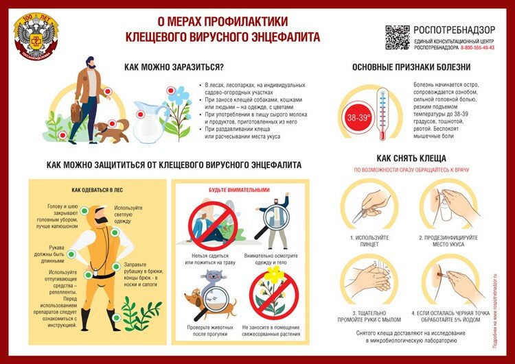 ПАМЯТКА ДЛЯ НАСЕЛЕНИЯ О мерах профилактики клещевого вирусного энцефалита