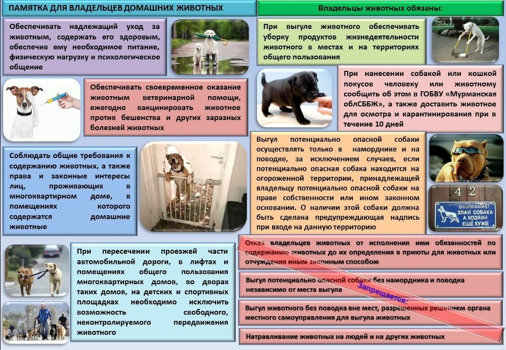 Памятка